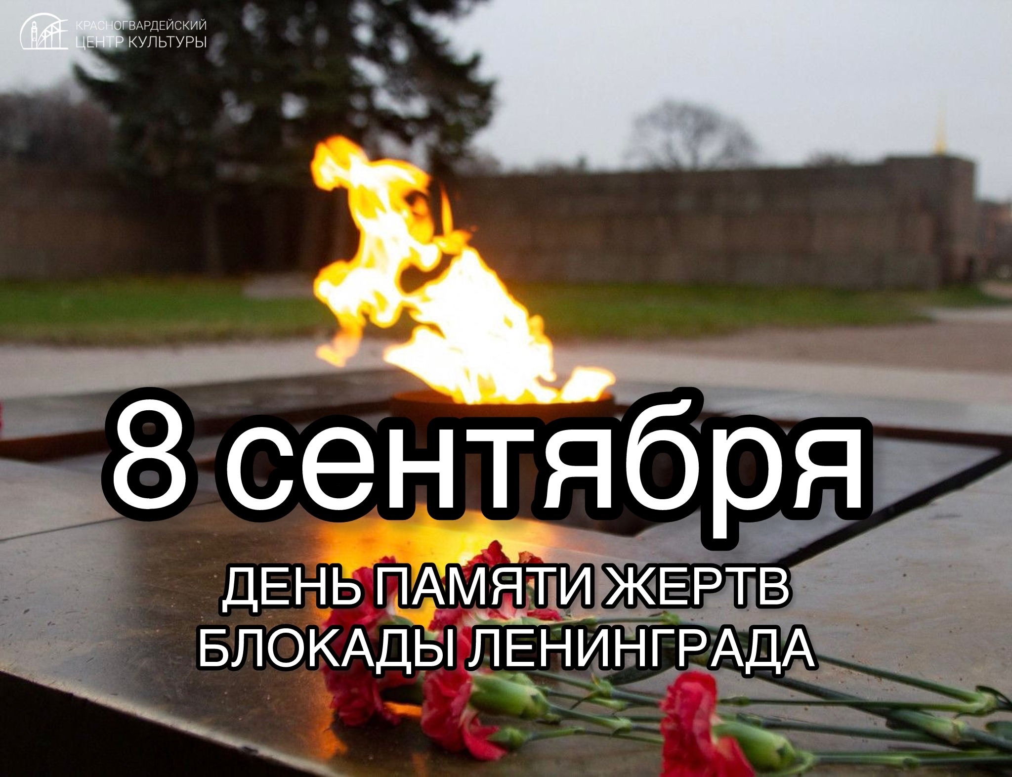 imgcompressors 1000142192